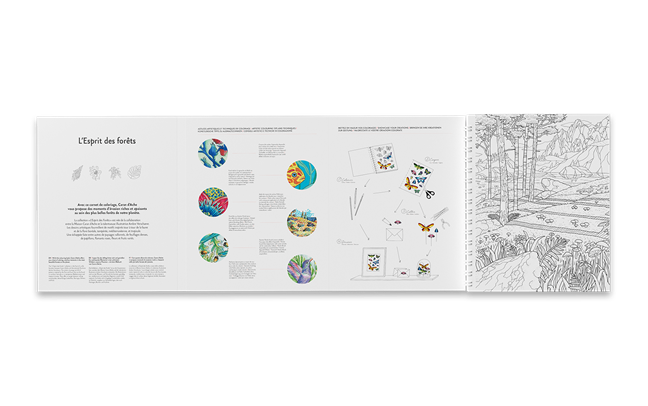 CARNET À COLORIER FSC™ L'ESPRIT DES FORÊTS – Image 2