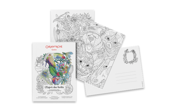 CARTES À COLORIER FSC™ - L'ESPRIT DES FORÊTS