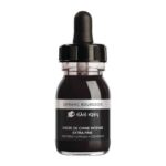 Encre de couleur Lefranc et Bourgeois Nan-King