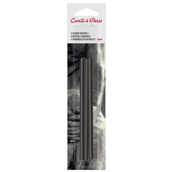 Set de 5 fusains naturels