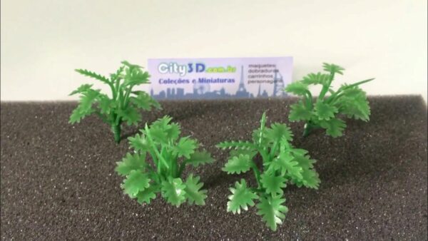Miniature plantes jardins